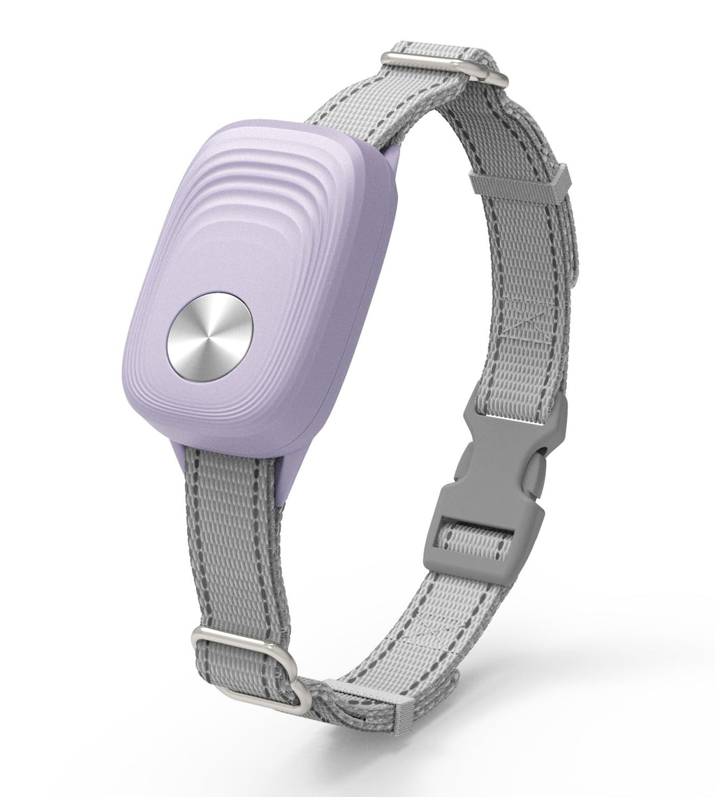 Pet Door Collar P2654