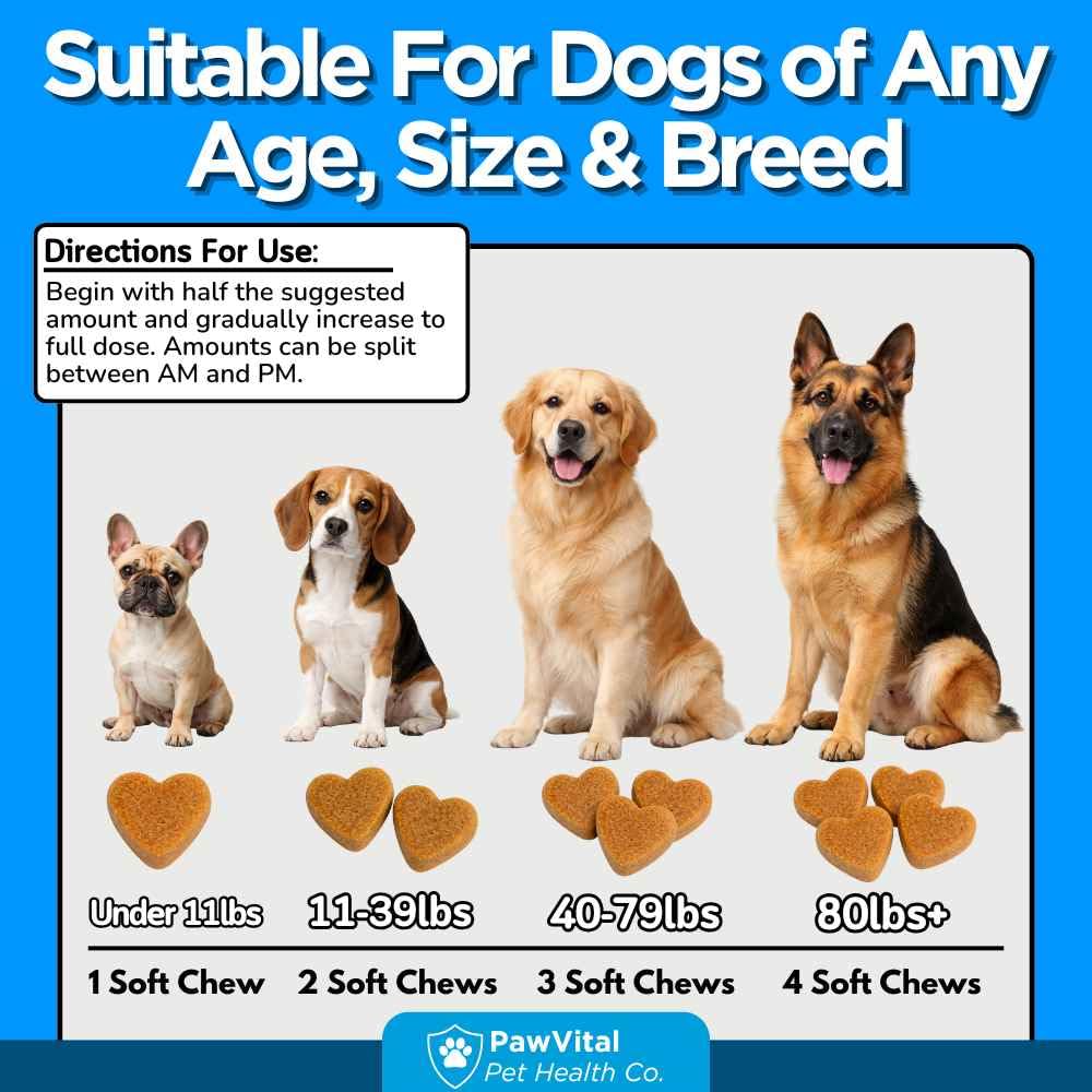 Flea and Tick Prevention for Dogs Chewables 150 Soft Chews Chicken Flavor K248
