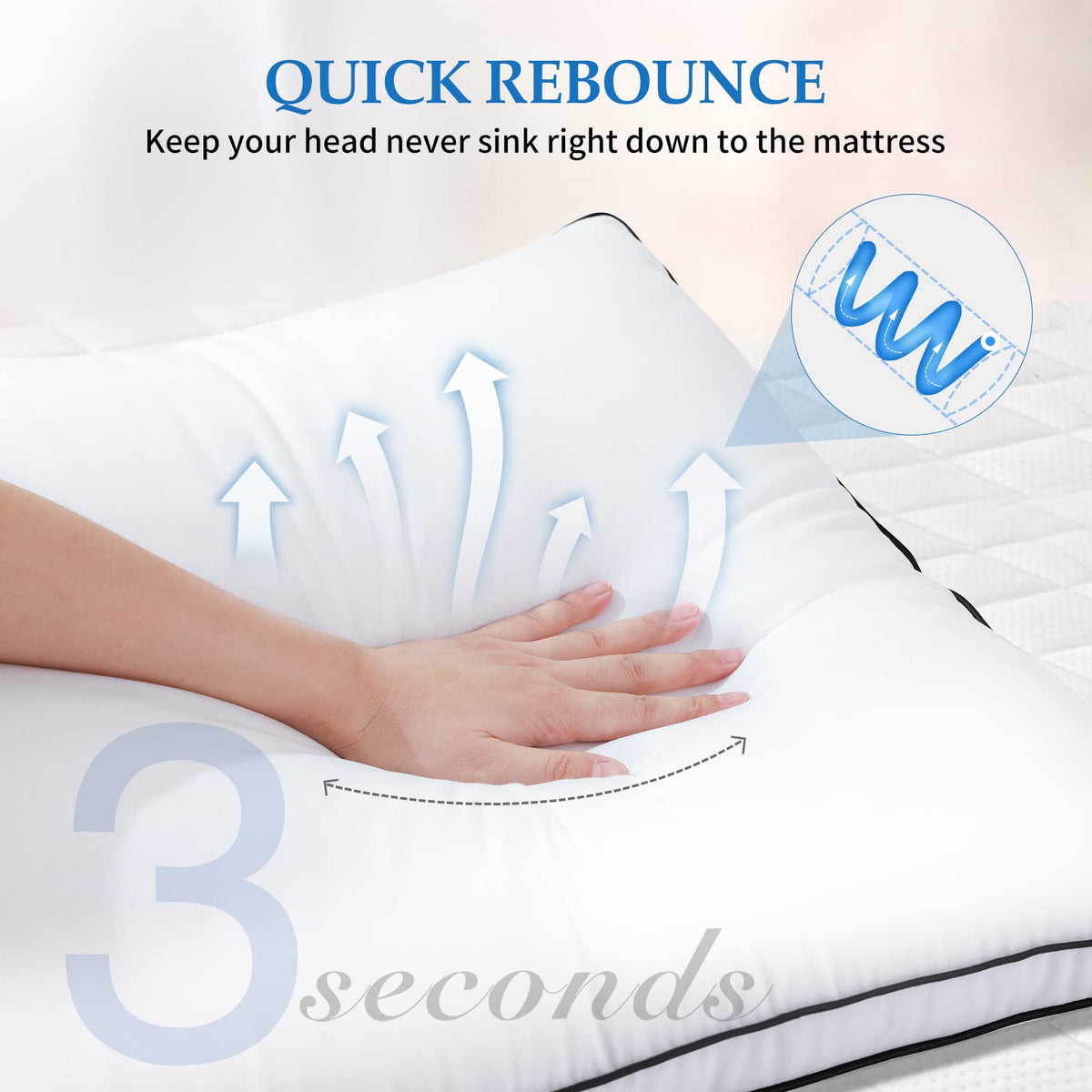 King Size Set of 2 Bed Pillows T303