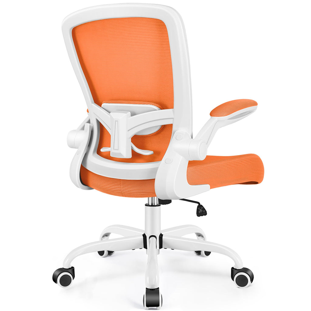 Ergonomic Mesh Office Chair with Lumbar Support Q581