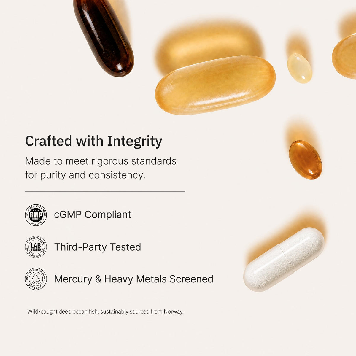 Omega-3 Fish Oil 1000mg 240 Softgels X1237