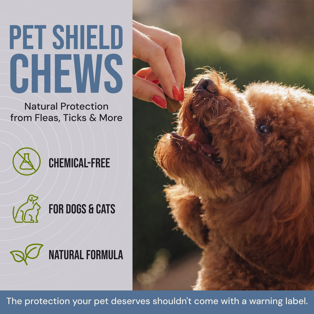 Natural Flea & Tick Prevention Soft Chews L197
