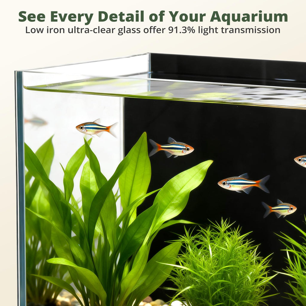 2.5 Gallon Fish Tank with Filter Q16990