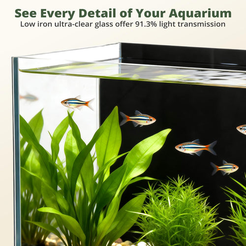 2.5 Gallon Fish Tank with Filter Q16990
