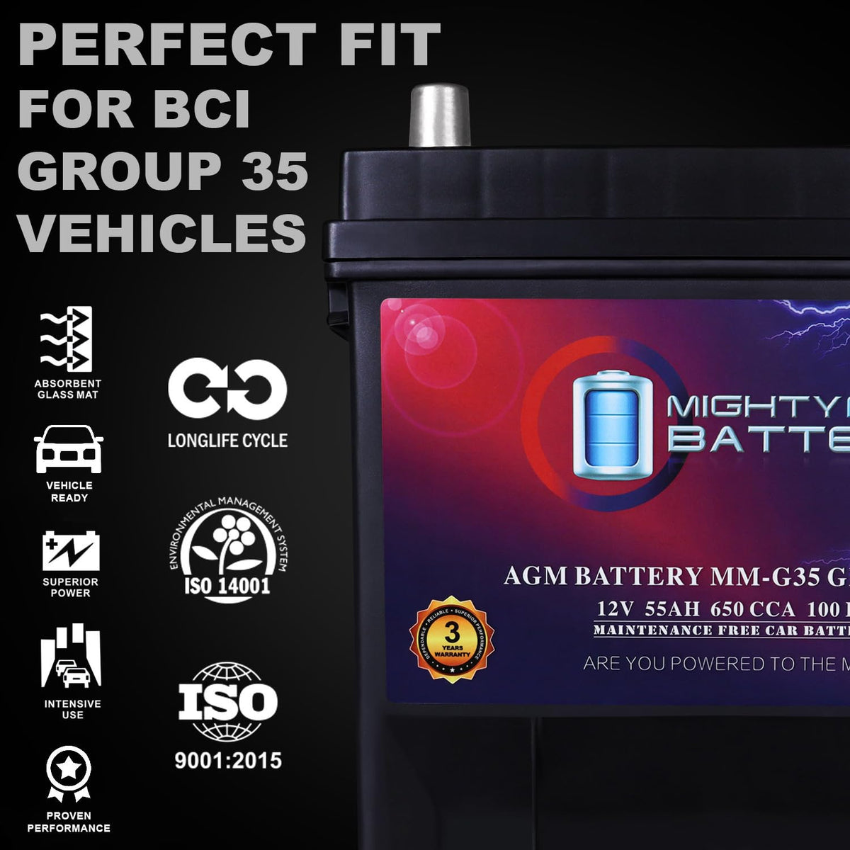 12V 55Ah AGM Replacement Battery I17702