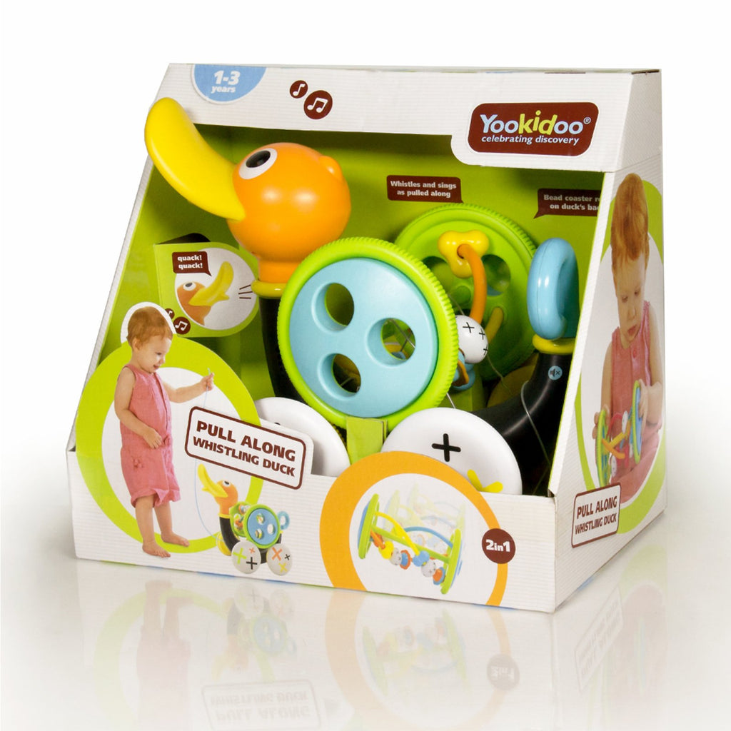 Push Pull Along Toy for Baby G464
