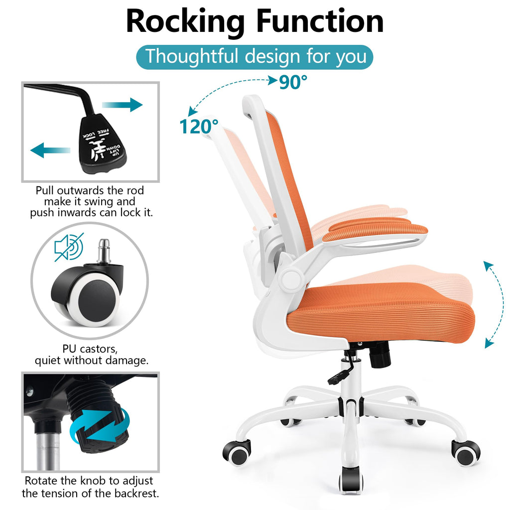 Ergonomic Mesh Office Chair with Lumbar Support Q581