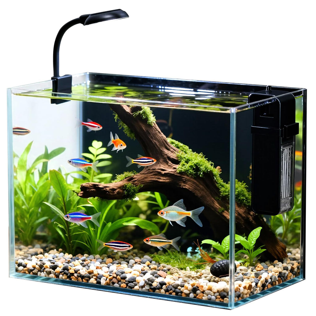 2.5 Gallon Fish Tank with Filter Q16990
