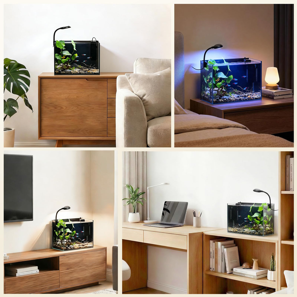 2.5 Gallon Fish Tank with Filter Q16990