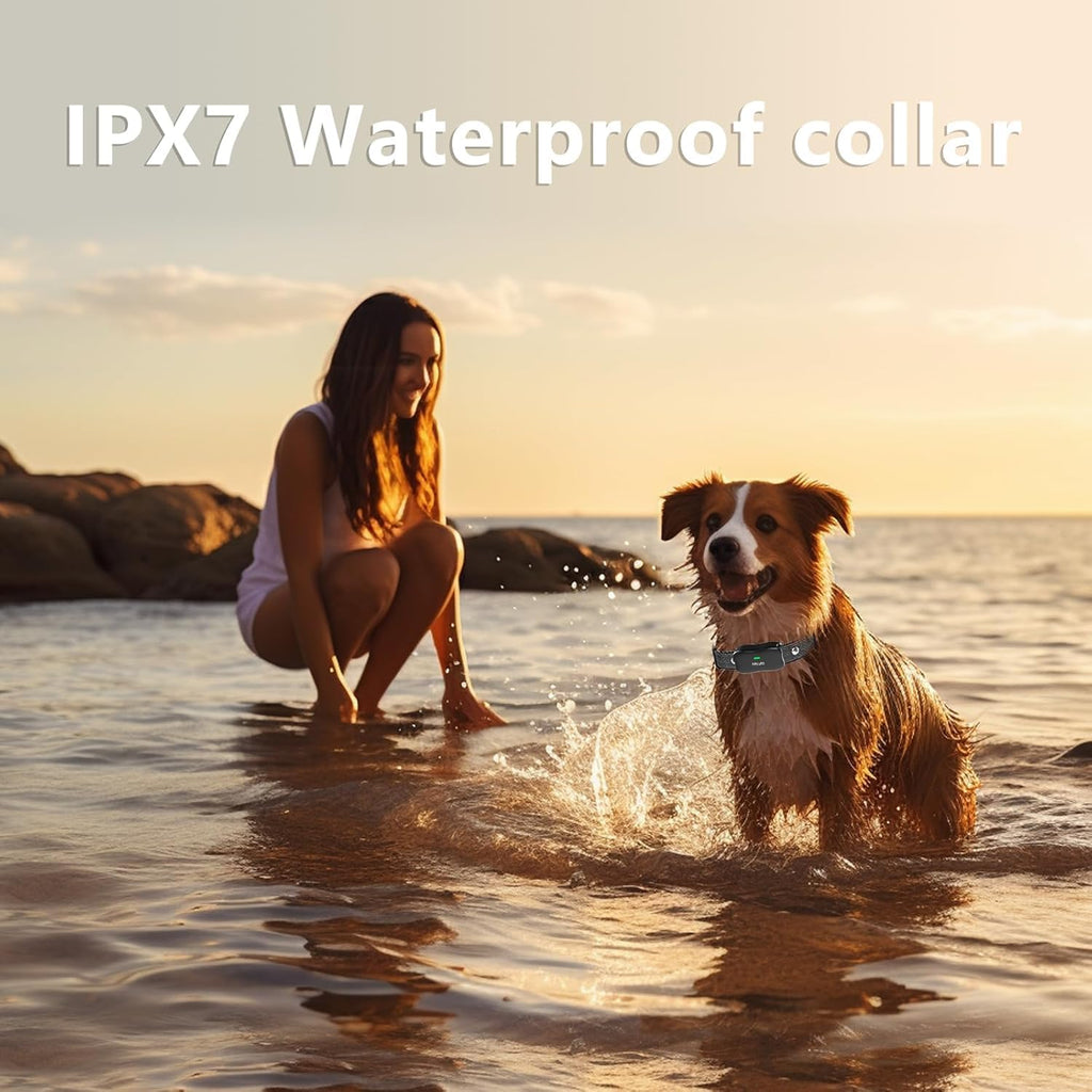 Wireless Dog Fence & Training Collar for 2 Dogs, IPX7 Waterproof, Black A495