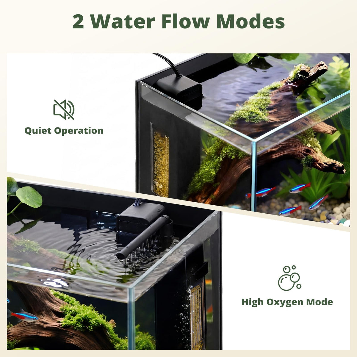 2.5 Gallon Fish Tank with Filter Q16990