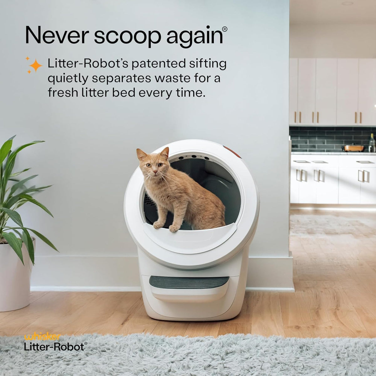 White Automatic Litter Box S26519