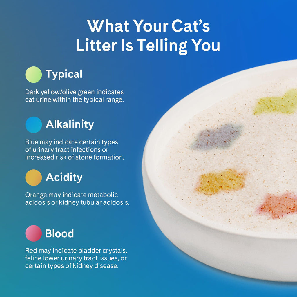 Unscented 6 lb. 2-Pack Cat Litter P7178
