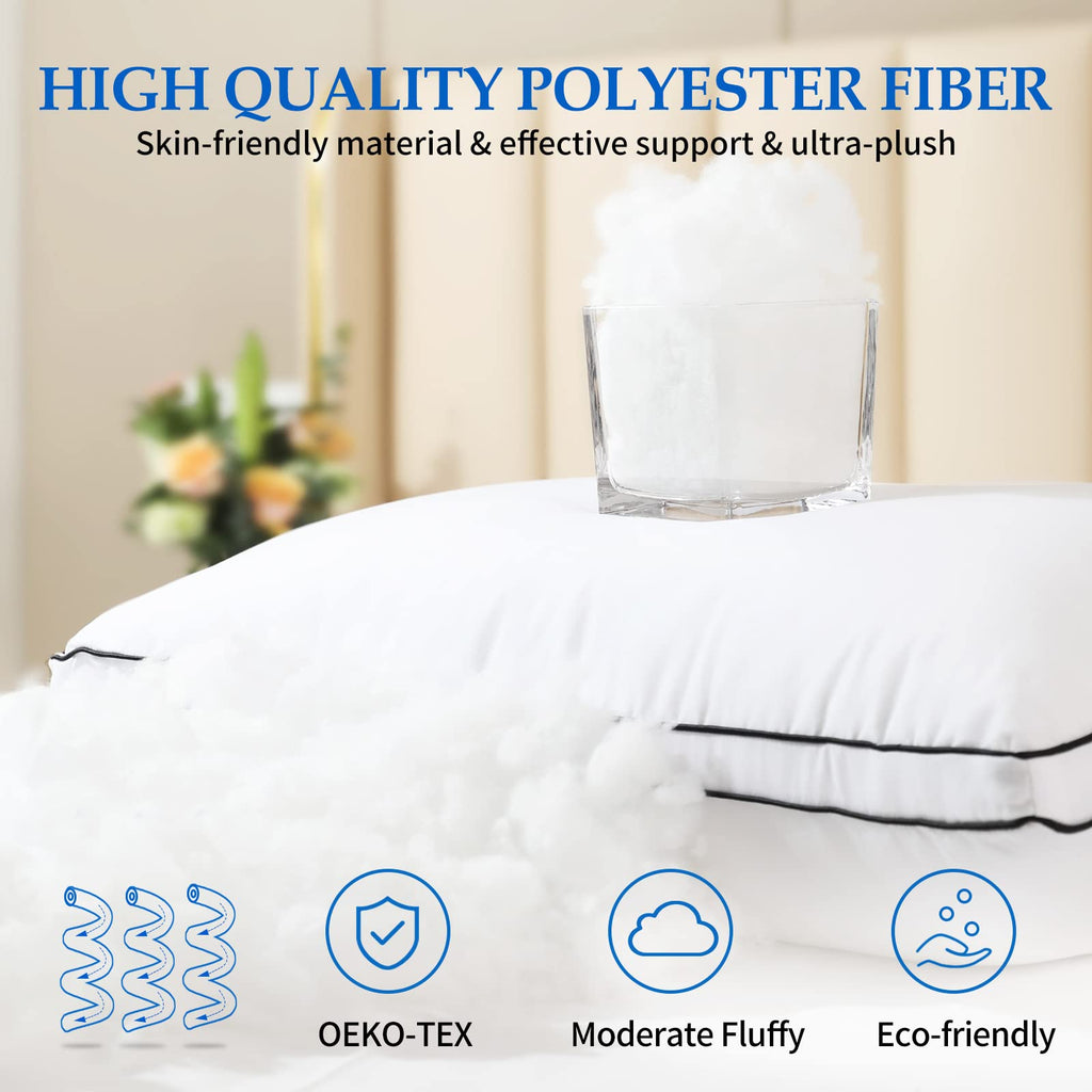 King Size Set of 2 Bed Pillows T303