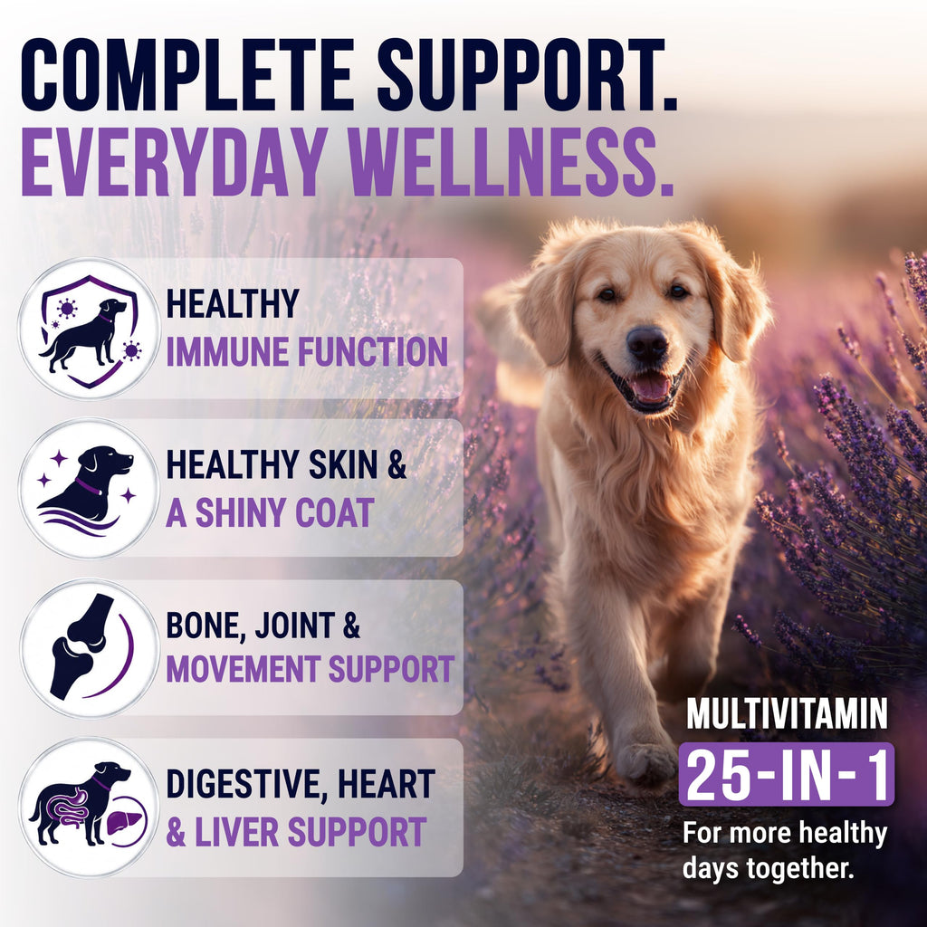 Dog Vitamins and Supplements, 250 Chews T726357