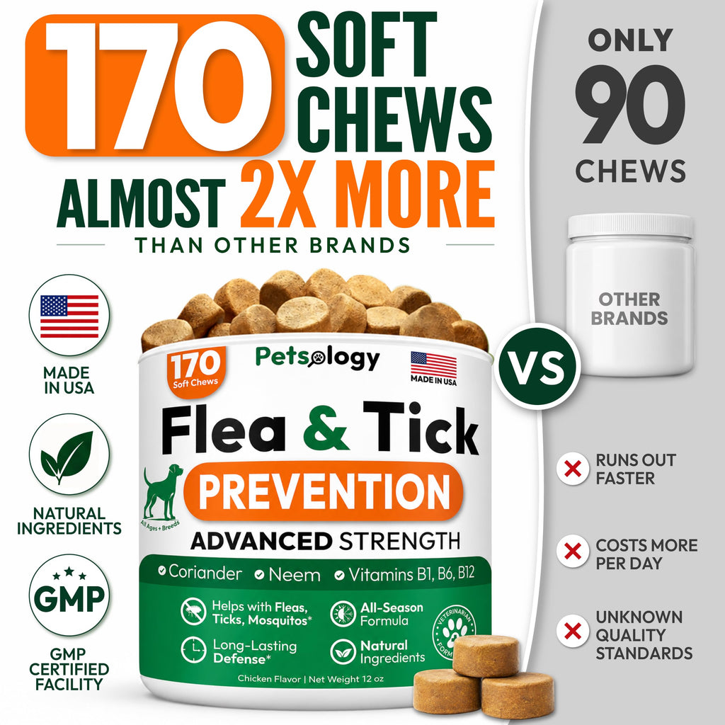 Flea and Tick Prevention for Dogs Soft Chewables X756665