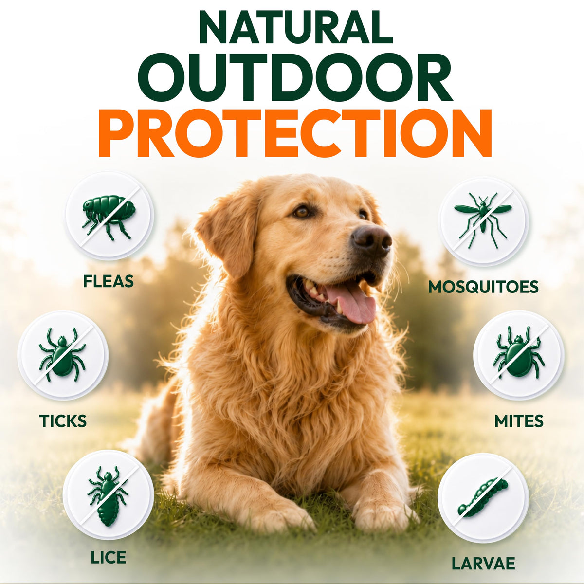 Flea and Tick Prevention for Dogs Soft Chewables X756665