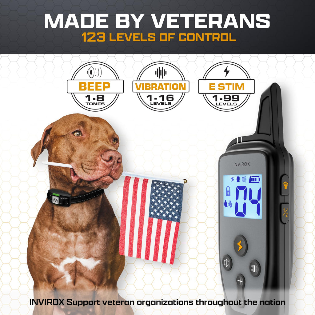 Dog Training Collar with Remote L778