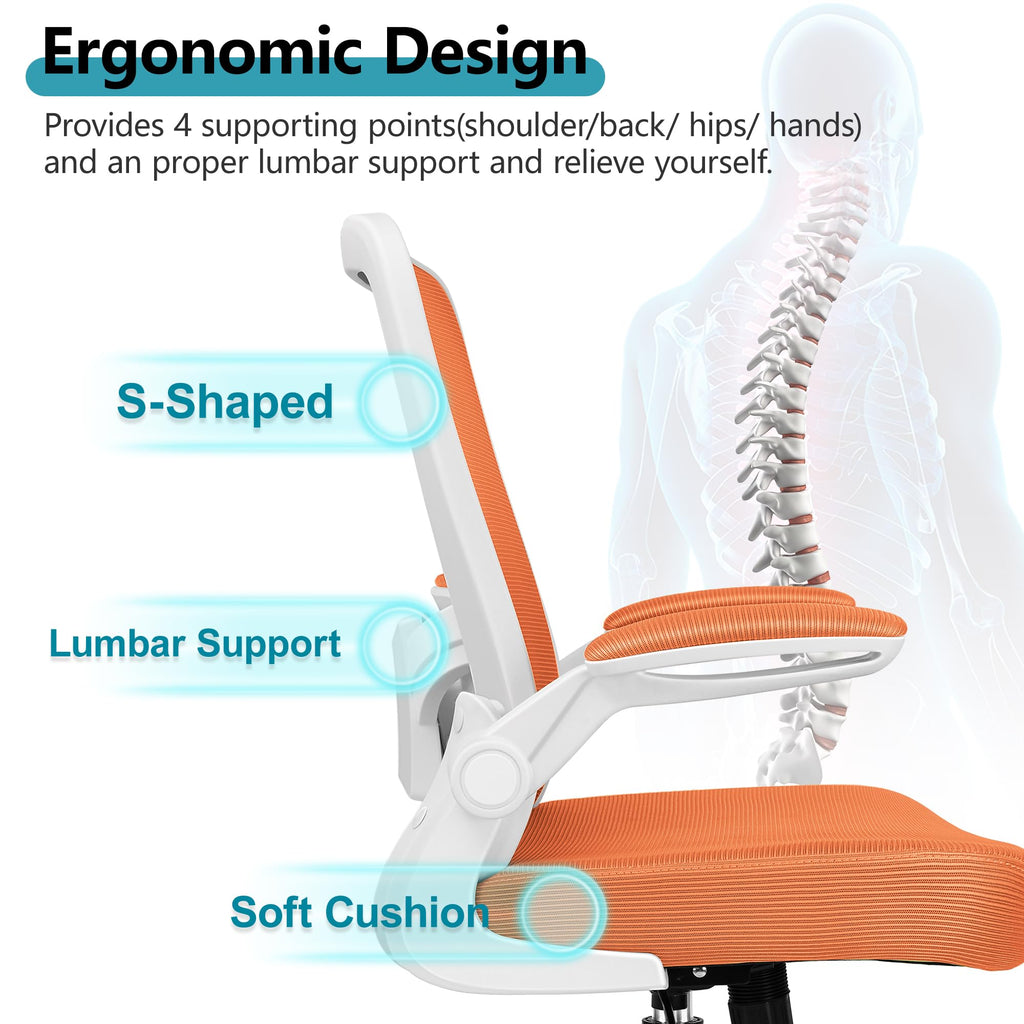 Ergonomic Mesh Office Chair with Lumbar Support Q581