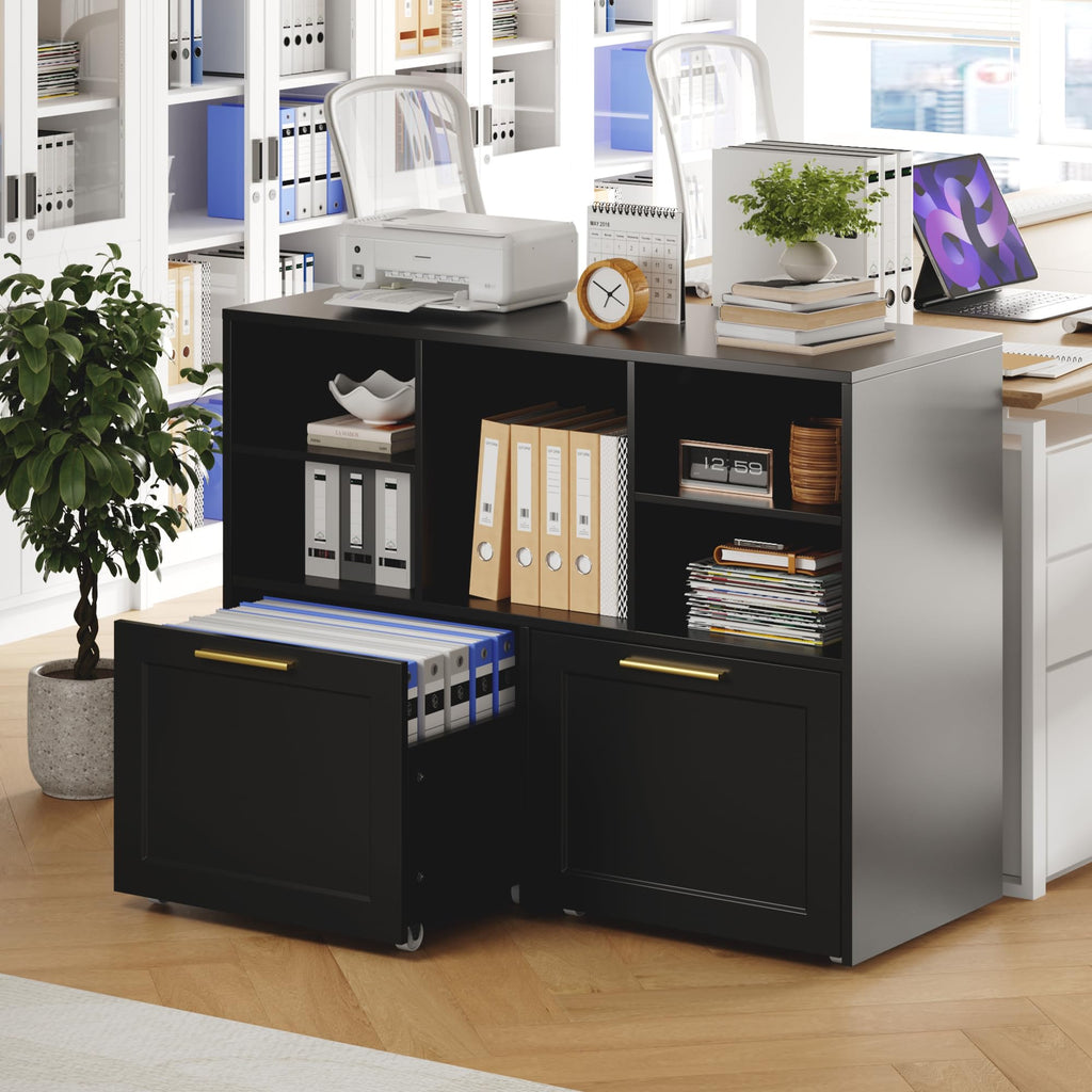 Black 2 Drawer Lateral File Cabinet with Open Storage Cubes O671