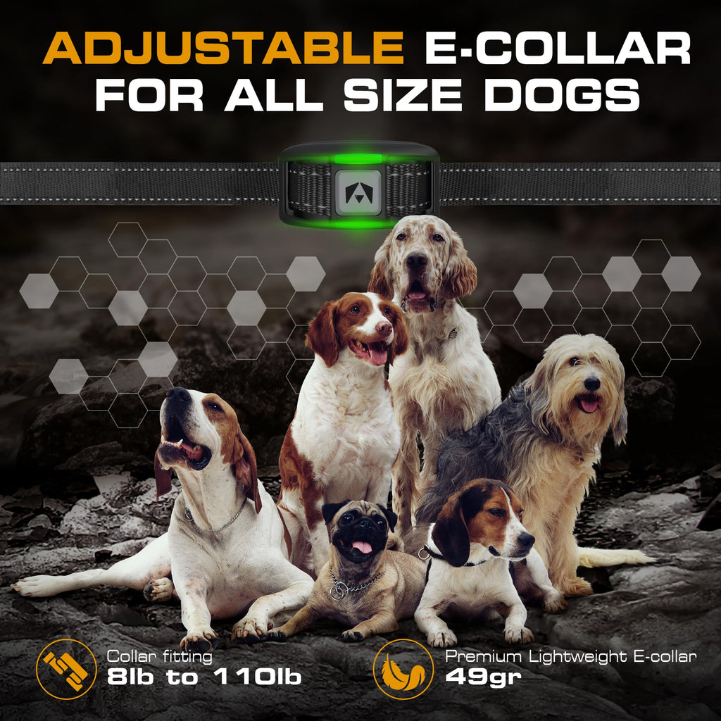 Dog Training Collar with Remote L778