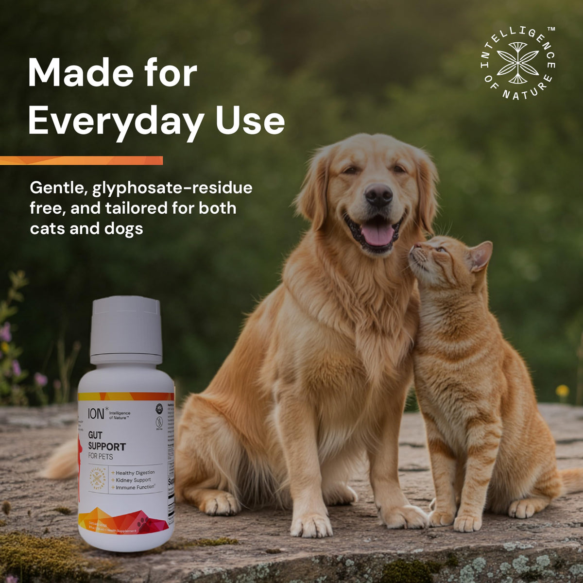 Gut Support for Pets 8 Fl Oz S69135