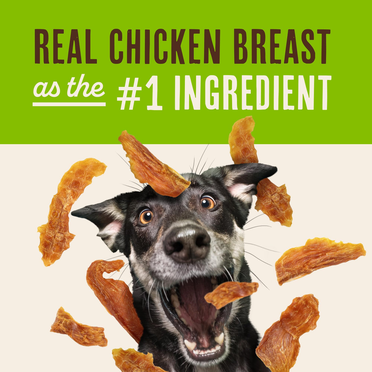 Chicken Jerky Dog Treats 30 oz M342