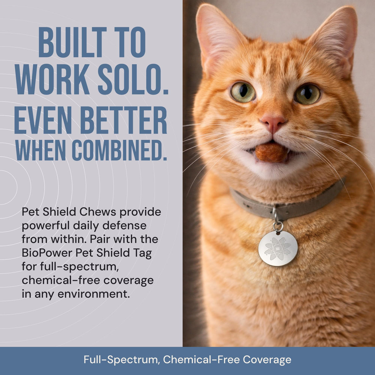 Natural Flea & Tick Prevention Soft Chews L197