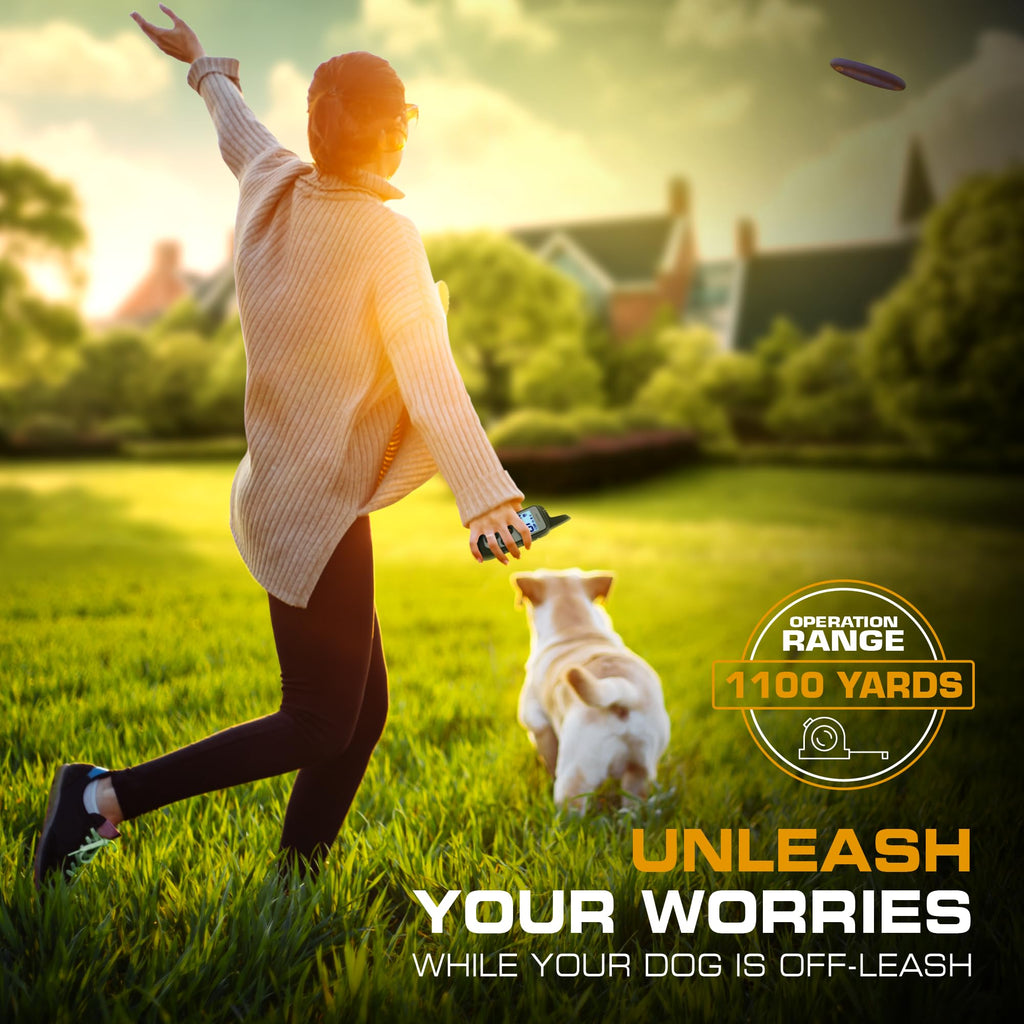 Dog Training Collar with Remote L778
