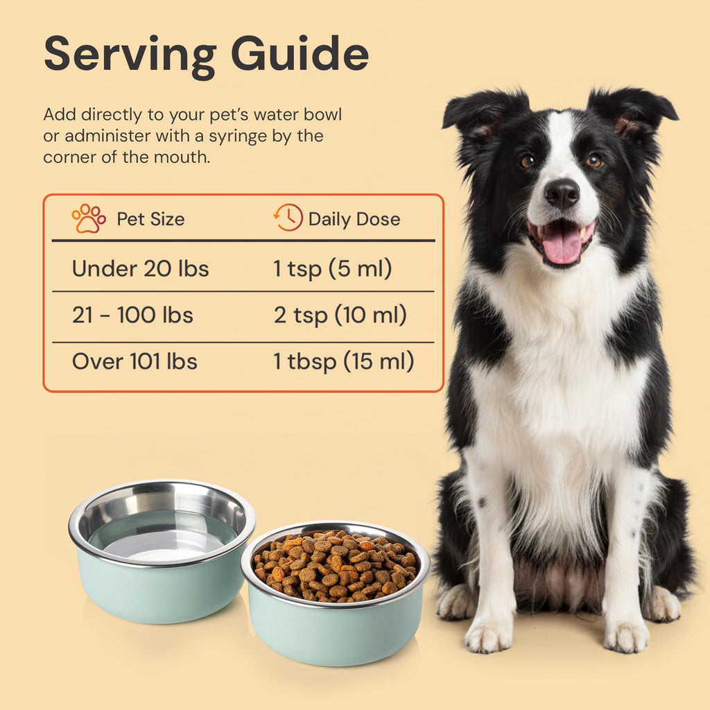 Gut Support for Pets 8 Fl Oz S69135