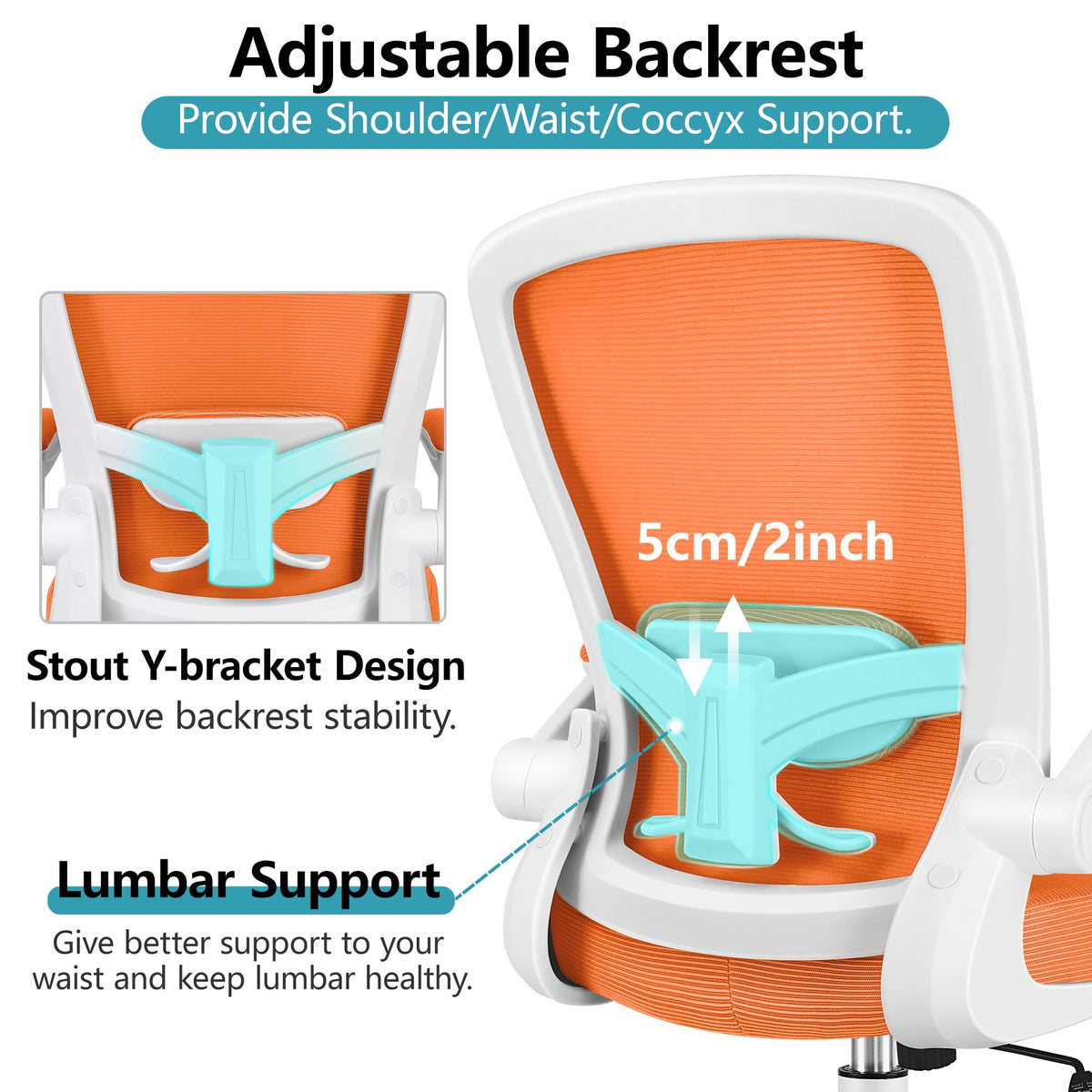 Ergonomic Mesh Office Chair with Lumbar Support Q581