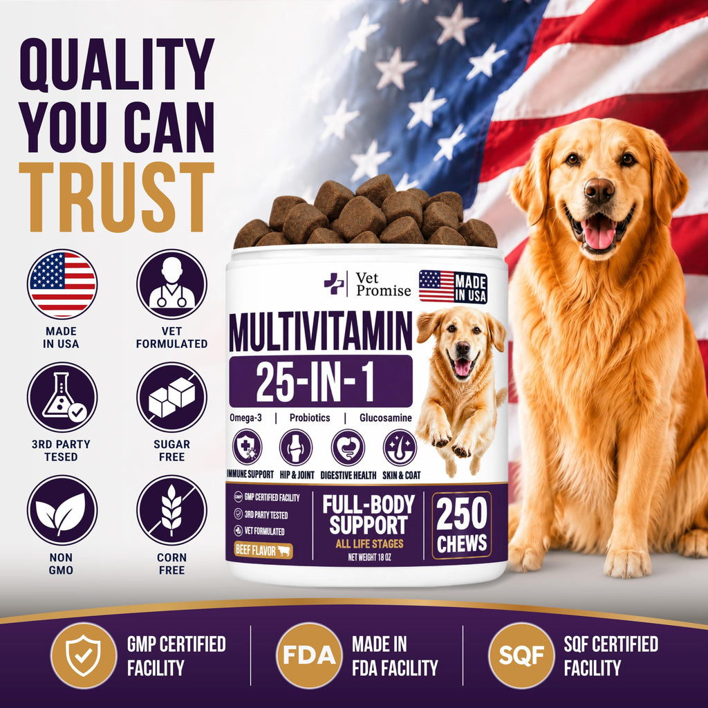 Dog Vitamins and Supplements, 250 Chews T726357