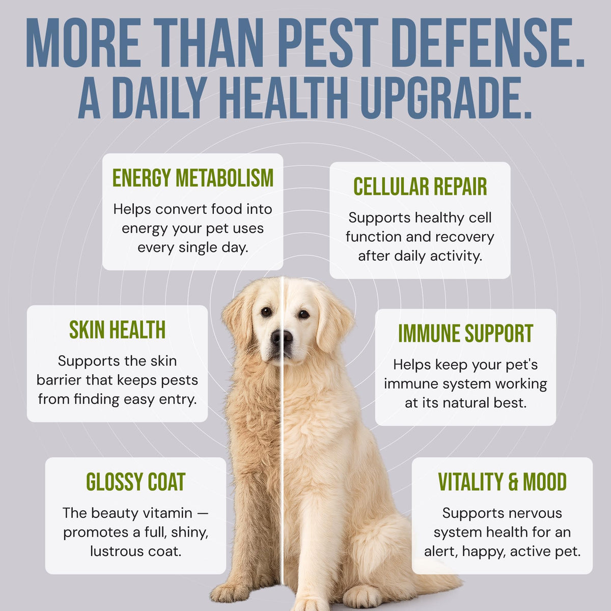 Natural Flea & Tick Prevention Soft Chews L197