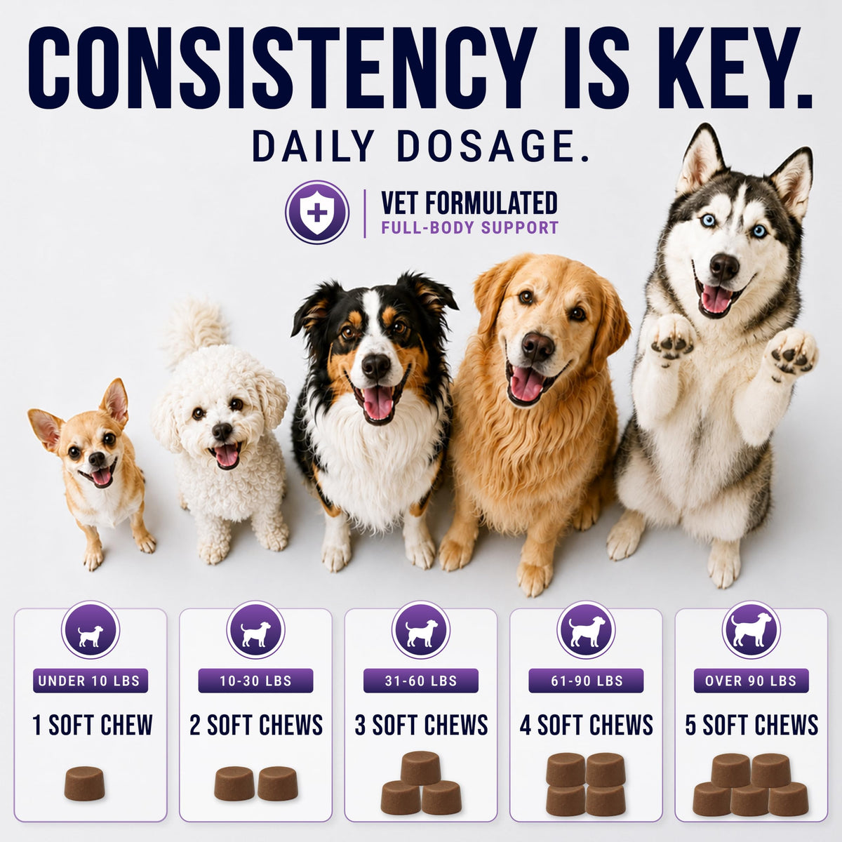 Dog Vitamins and Supplements, 250 Chews T726357
