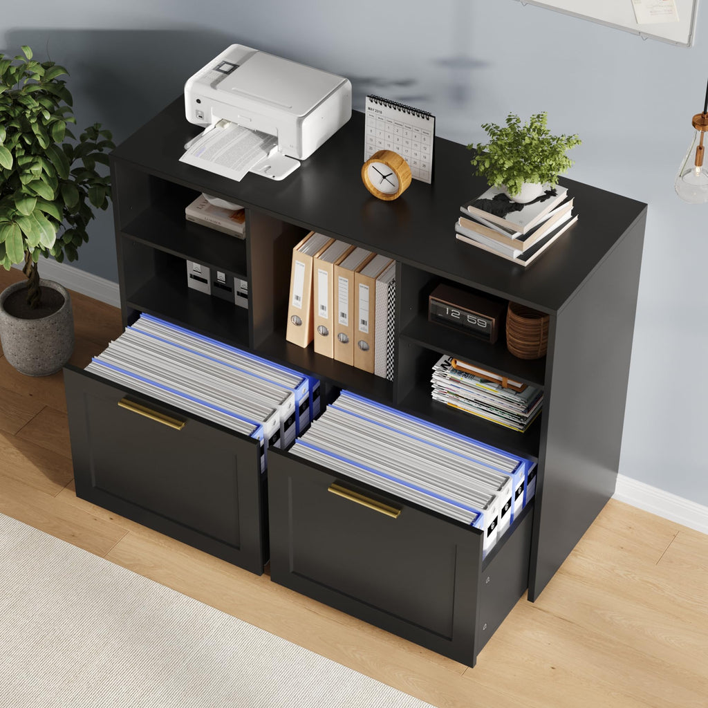 Black 2 Drawer Lateral File Cabinet with Open Storage Cubes O671