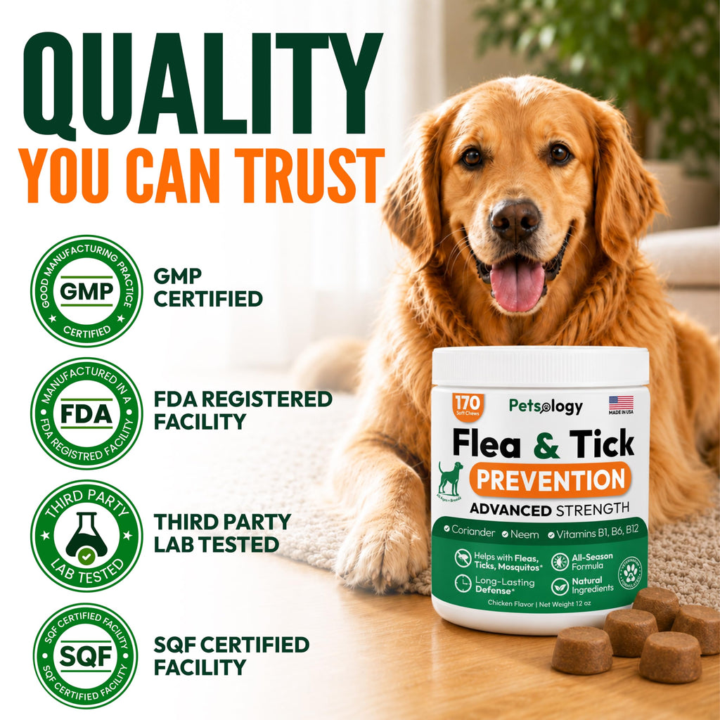 Flea and Tick Prevention for Dogs Soft Chewables X756665