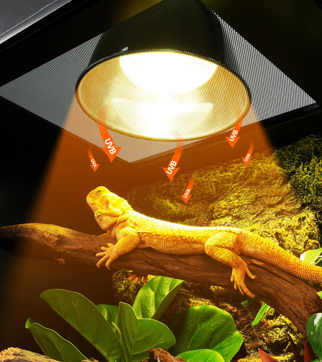 160W Reptile Heat Lamp UVA UVB Bulbs with 8.5 Inch Light Fixture D6491
