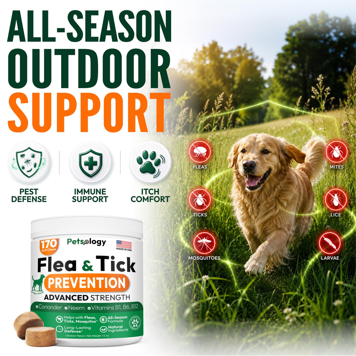 Flea and Tick Prevention for Dogs Soft Chewables X756665
