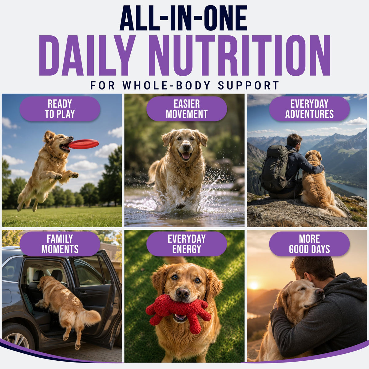 Dog Vitamins and Supplements, 250 Chews T726357